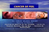 Cancer de Piel  documento del USAMEDIC