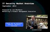 The IT Security Market Overview, 2012
