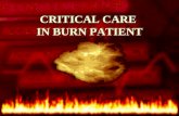 Dr. Hardi-critical Care in Burn Patient
