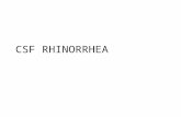Csf Rhinorrhea