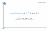 Mind Mapping for Efficient PM