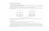 manual de sondeos_5.pdf