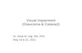 VI (Visual Impairment