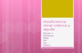 insuficiencia  renal cronica