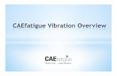 CAEF [1] CAEfatigue Vibration Overview
