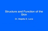 1. Structure and Function of the Skin