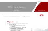 03 BAM Introduction ISSUE2.1