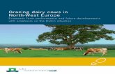 Grazing Dairy Cows in North West Europe