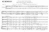 Dvorak - Requiem Mass, Op.89, Part I