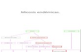 Micosis endémicas13