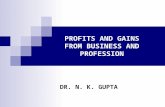 Profits and Gains From Business and Profession