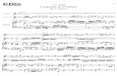 Bach - Concerto in D Minor (2 Violins)