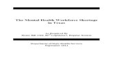 Mental Health Workforce Assessment