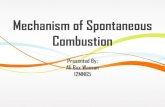 Mechanism of Spontaneous Combustion