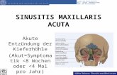 08 Sinusitis Maxillaris Acuta