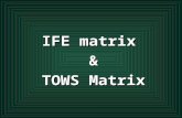 IFE matrix and TOWS matrix.ppt
