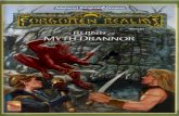 TSR 1084 - The Ruins of Myth Drannor