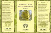 Agrimony Herb