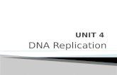 -DNA Replication-mutation