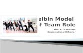 Belbin Model for Team Member Role Understanding