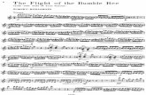 Flight of the Bumble Bee_flute