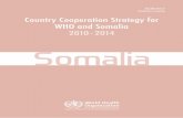 Ccs Somalia 201014