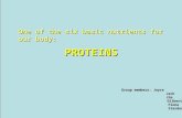 PROTEINS Group members: Joyce Jack Jack Jim Jim Gilbert Gilbert Fiona Fiona Stardust Stardust One of the six basic nutrients for our body: