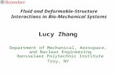 Fluid and Deformable-Structure Interactions in Bio-Mechanical Systems Lucy Zhang Department of Mechanical, Aerospace, and Nuclear Engineering Rensselaer.