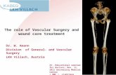 The role of Vascular Surgery and wound care treatment Dr. W. Amann Division of General- and Vascular Surgery LKH Villach, Austria XV. Educational seminar.