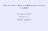 Global visual form & motion processing in adults John Wattam-Bell Dee Birtles Sheila Moazzami …