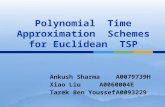 Polynomial Time Approximation Schemes for Euclidean TSP Ankush SharmaA0079739H Xiao LiuA0060004E Tarek Ben YoussefA0093229.