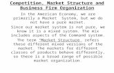 Competition, Market Structure and Business Firm Organization In the American Economy, we are primarily a Market System, but we do not have a pure market.