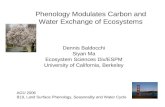 Phenology Modulates Carbon and Water Exchange of Ecosystems Dennis Baldocchi Siyan Ma Ecosystem Sciences Div/ESPM University of California, Berkeley AGU.