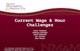Current Wage & Hour Challenges Karen Thompson Pádraig Flanagan Keith McDonald Pat Collins Keya Denner The material provided herein is for informational.