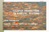TILAPIA PRODUCTION IN BIOFLOC SYSTEMS YORAM AVNIMELECH TECNION, ISRAEL INST. Of TECHNOLOGY agyoram@technion.ac.il.