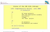 LHCC Comprehensive Review 26/6/06 D.J.A. Cockerill - RAL 1 Status of the CMS ECAL Endcaps LHCC Comprehensive Review, June 2006 D Cockerill EE  EE large.