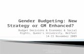 Budget Decisions & Economic & Social Rights, Queen’s University, Belfast 14-15 November 2009 Sheila Quinn, Consultant & Researcher, Ireland quinnsheila@eircom.net.