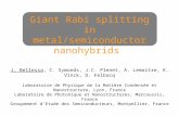 Giant Rabi splitting in metal/semiconductor nanohybrids J. Bellessa, C. Symonds, J.C. Plenet, A. Lemaitre, K. Vinck, D. Felbacq Laboratoire de Physique.