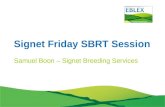 Signet Friday SBRT Session Samuel Boon – Signet Breeding Services.