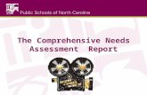 The Comprehensive Needs Assessment Report. Objectives Understand the partnership between DPI and leadership Give an overview of continuous quality improvement.