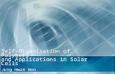 Self-Organization of Polymers and Applications in Solar Cells Jung Hwan Woo.
