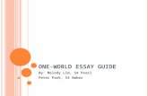 ONE-WORLD ESSAY GUIDE By: Melody Lim, S4 Pearl Peter Park, S4 Amber.