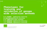 Phenotypes for training and validation of genome wide selection methods K G DoddsAgResearch, Invermay B AuvrayAgResearch, Invermay P R AmerAbacusBio, Dunedin.