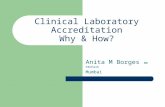 Clinical Laboratory Accreditation Why & How? Anita M Borges MD FRCPath Mumbai.