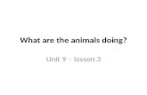 What are the animals doing? Unit 9 – lesson 3. Mummy giraffe __ kissing baby giraffe. is.