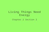 Living Things Need Energy Chapter 2 Section 2. Getting Energy… Organisms have to have energy- at all times- to survive. Energy comes from food. –Plants.