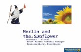 Merlin and the Sunflower World Quality Day – 9 November - Wintec Brett Marsh: General Manager Organisational Excellence.