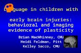 Language in children with early brain injuries: behavioral and imaging evidence of plasticity Brian MacWhinney, CMU Heidi Feldman, Pitt Kelley Sacco, CMU.