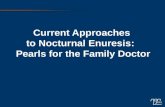 Current Approaches to Nocturnal Enuresis: Pearls for the Family Doctor.
