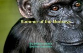 Summer of the Monkeys By Wilson Rawls Sydney Bearden.